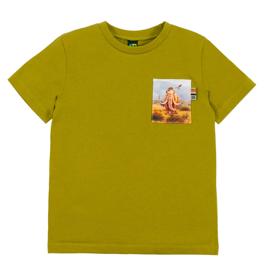 T-shirt  Garçons Olive