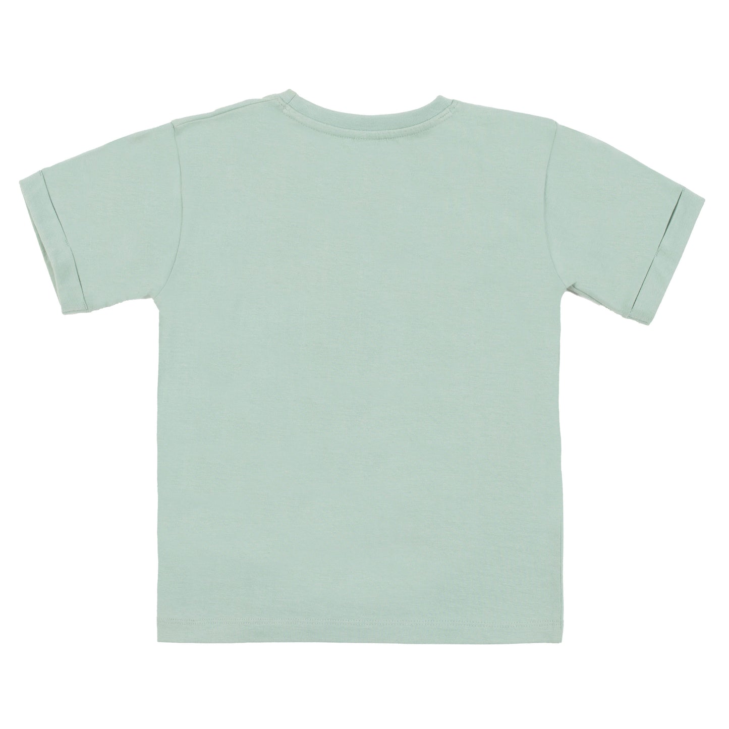 T-shirt  Garçons Menthe