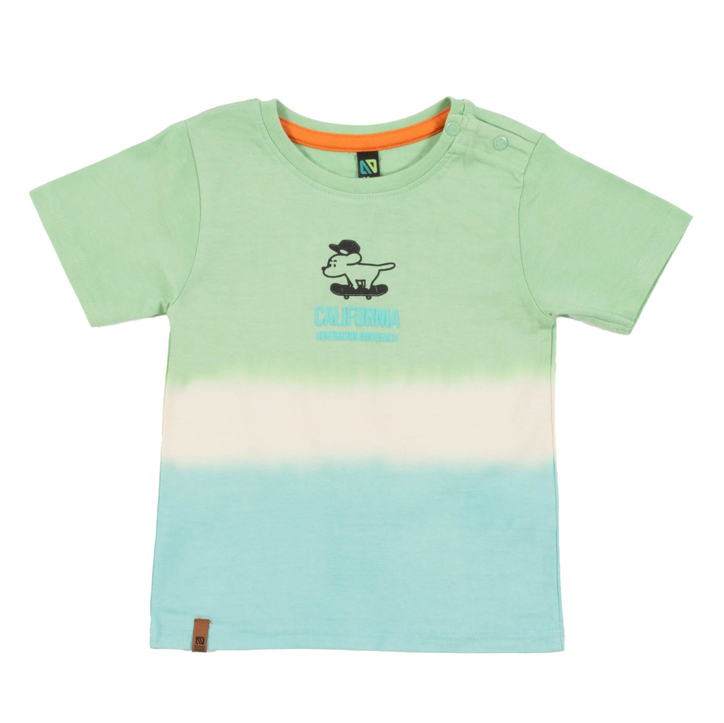 T-shirt  Bébé Garcon Turquoise